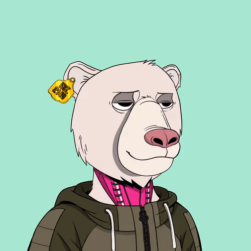 Okay Cyber Bears #439