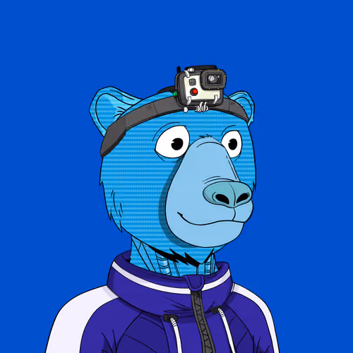 Okay Cyber Bears #257
