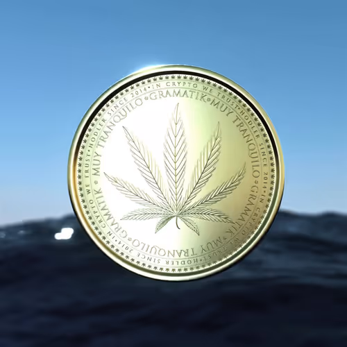 Item #50800010002 Media