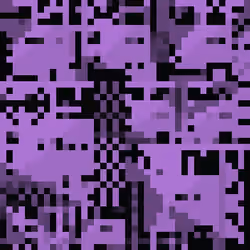 5554