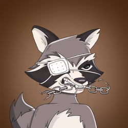 Raccoon Mafia #1465