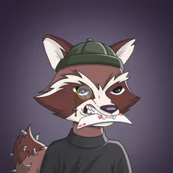 Raccoon Mafia #648