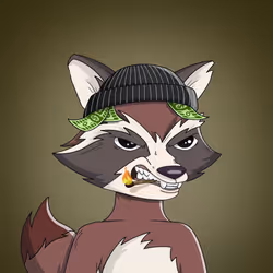 Raccoon Mafia #2618