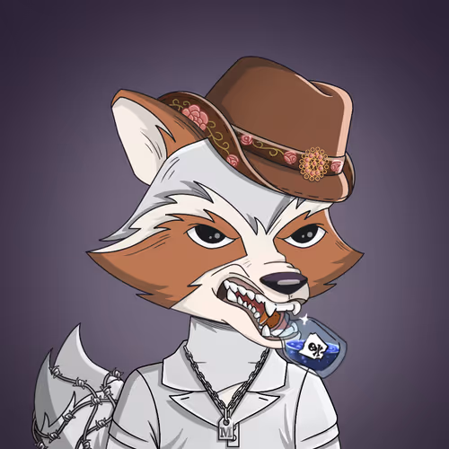 Raccoon Mafia