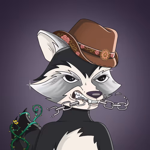 Raccoon Mafia