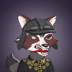 Raccoon Mafia #894