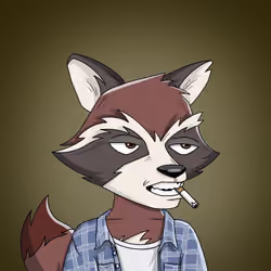 Raccoon Mafia #3066