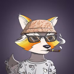 Raccoon Mafia #1148