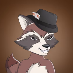 Raccoon Mafia #1801