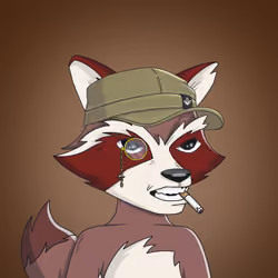 Raccoon Mafia #2384
