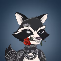 Raccoon Mafia #1908