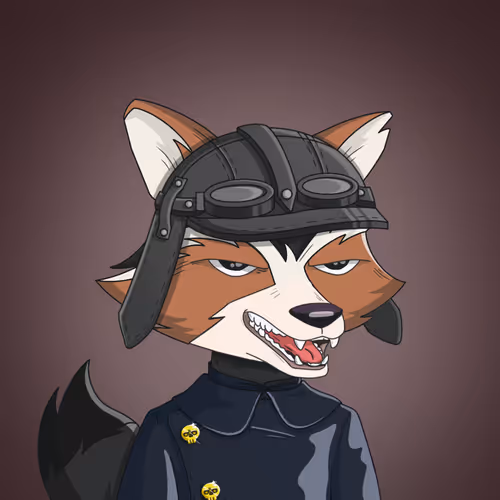 Raccoon Mafia