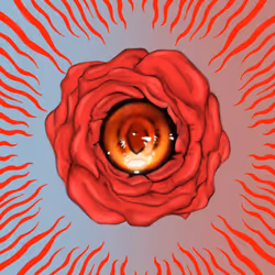 1276