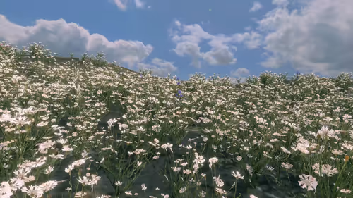 Item #157348890390936914121707990097030571038294592 Media