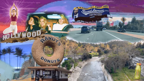 Item #2517582246254990625947327841552489136600713495 Media