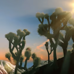 New Landscapes 2023 #33