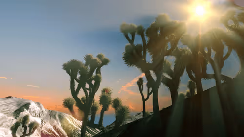 Item #157348890390936914121707990097030571038294624 Media