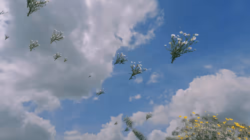 Item #157348890390936914121707990097030571038294606 Media