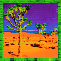 2517582246254990625947327841552489136601713474