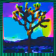 2517582246254990625947327841552489136601713494