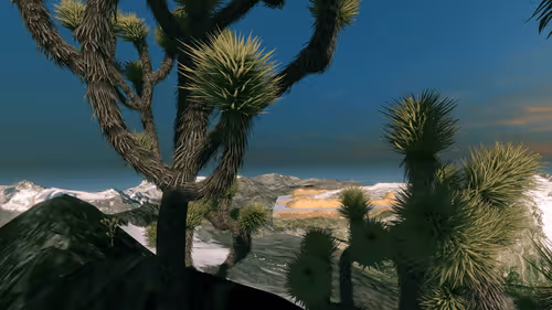 Item #157348890390936914121707990097030571038294622 Media