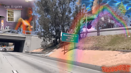 Item #2517582246254990625947327841552489136600713472 Media