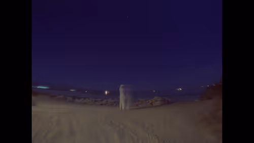 Item #2517582246254990625947327841552489136603713502 Media