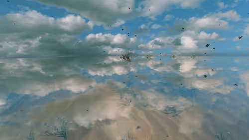 Item #157348890390936914121707990097030571038294623 Media