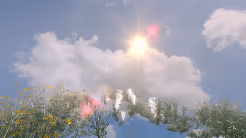 Item #157348890390936914121707990097030571038294608 Media