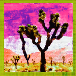 2517582246254990625947327841552489136601713493