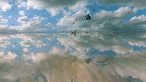 Item #157348890390936914121707990097030571038294613 Media