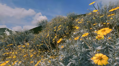 Item #157348890390936914121707990097030571038294601 Media