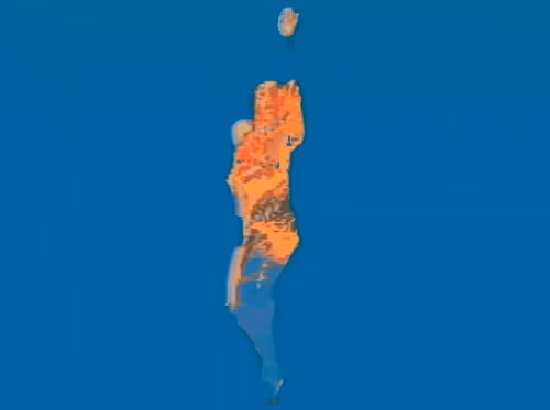 Item #2517582246254990625947327841552489136598713476 Media