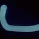 2517582246254990625947327841552489136603713481