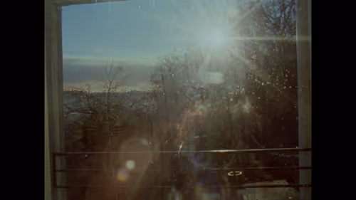 Item #2517582246254990625947327841552489136603713500 Media