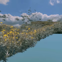 New Landscapes 2023 #13