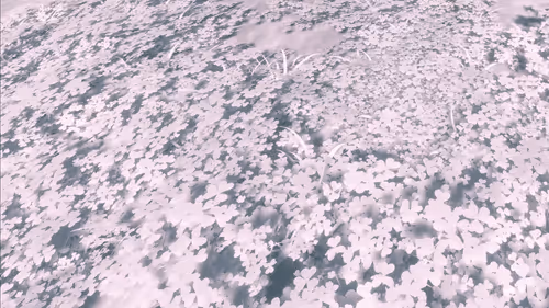 Item #157348890390936914121707990097030571038294607 Media