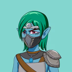 The Adventurers Avatar #2295