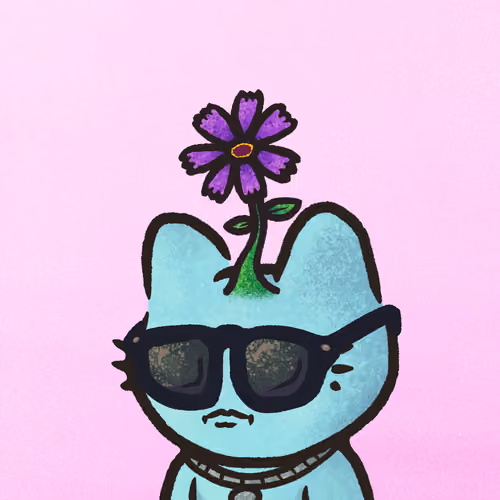 Lil Baby Mews #533