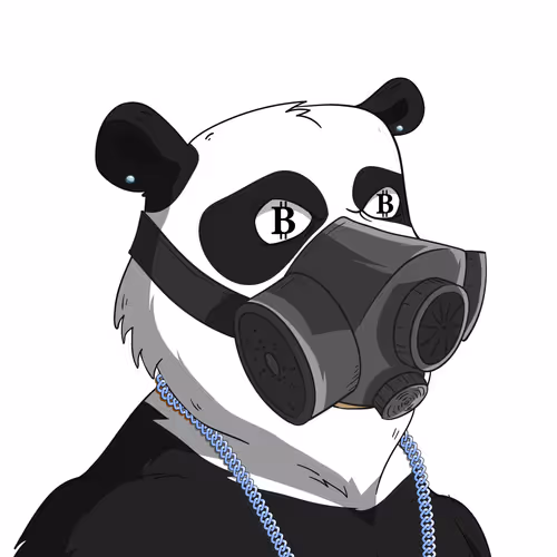 Ballerbearsnft