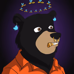 Baller Bears #737