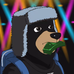 Baller Bears #1585