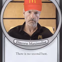 JPEG Card 800