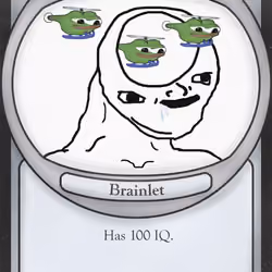 JPEG Card 976