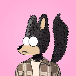 2055