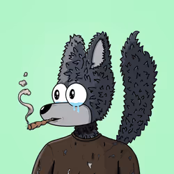2019