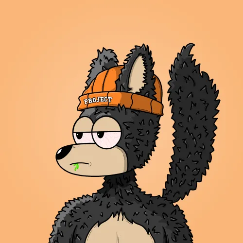 Projectfox