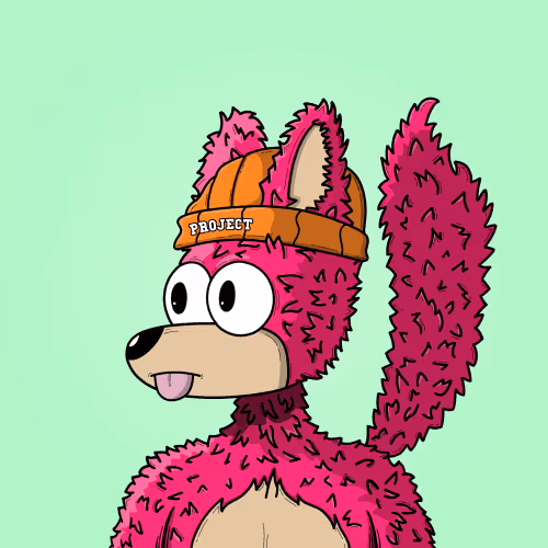 Projectfox