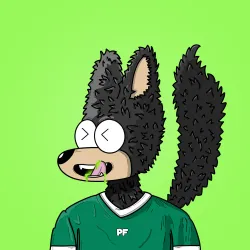 1041