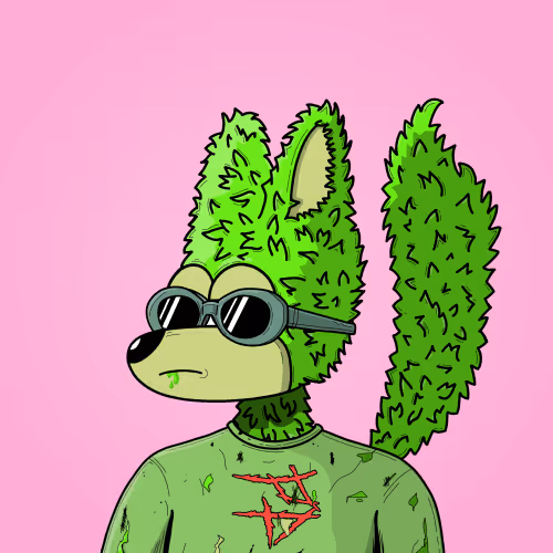 Projectfox